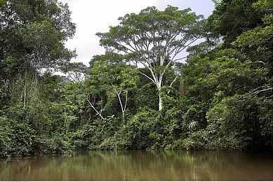 steam夏促买新游戏怎么玩才爽？用网易UU加速器一键加速体验极致乐趣